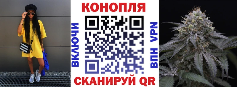 Альфа ПВП Астрахань