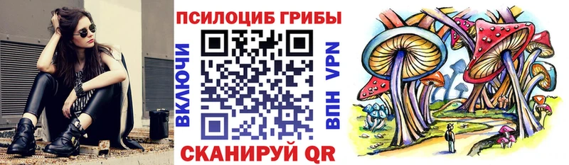 Псилоцибиновые грибы мицелий  даркнет сайт  Астрахань 